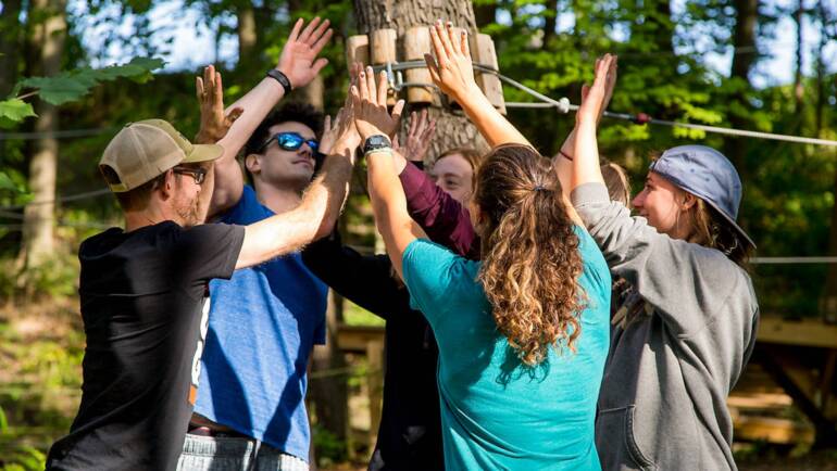 Proving the Value of Incentive Trips for Collaborators