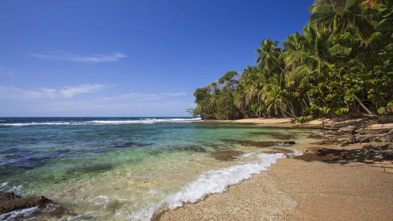 Your Guide to Timing Your Incentive Travel to Costa Rica Perfectly