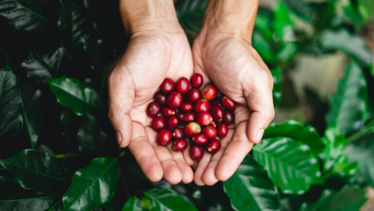 Innovative Costa Rica Incentive Trip Ideas for Employees