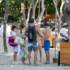 Tips for a Successful Team Building Agenda in Costa Rica