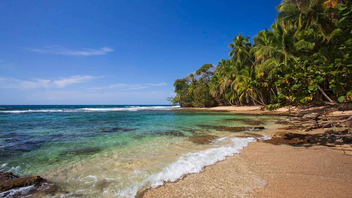 Your Guide to Timing Your Incentive Travel to Costa Rica Perfectly