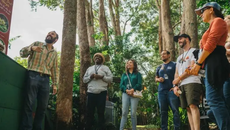 Team Building in Costa Rica: Activities to Build Lasting Trust